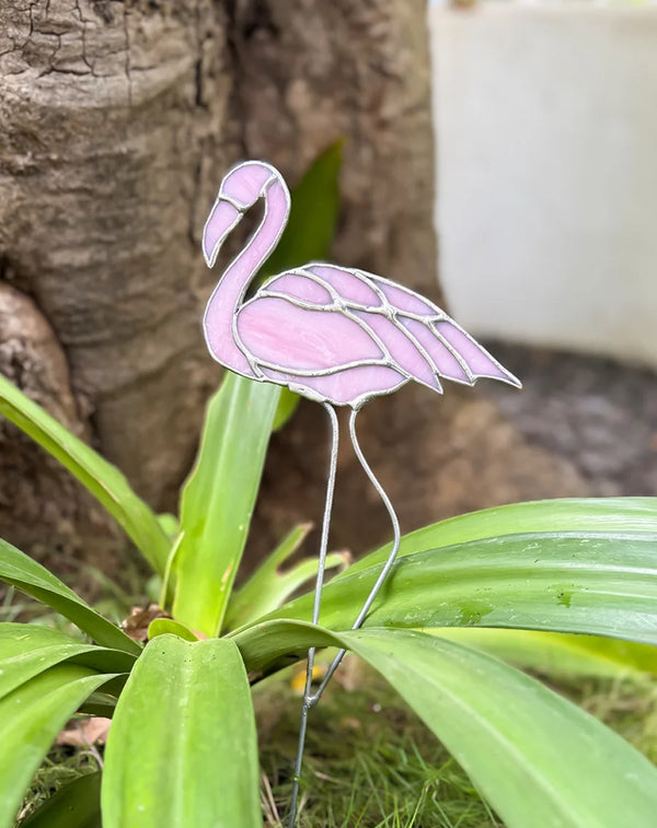 Flamingo Garden Steak